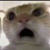 OIP-C.iCh78IBDY358m7bUwTbfhAHaHb.jpeg OIP-C.iCh78IBDY358m7bUwTbfhAHaHb.jpeg
